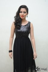 Sadha at Yamaleela 2 Movie Audio Launch